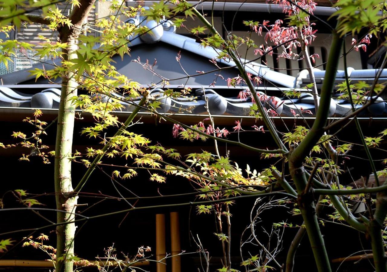 Kyoto Shirakawa Kiraku Inn Exteriér fotografie